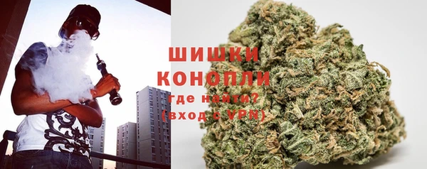 ПСИЛОЦИБИНОВЫЕ ГРИБЫ Богданович